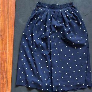 Jcrew skirt polka dot size 00